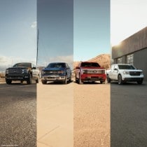 Freedom of Choice Campaign